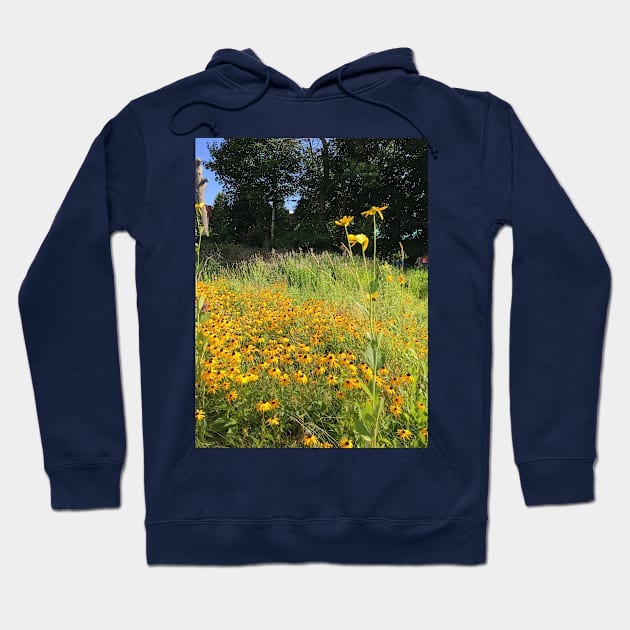 Black Eyed Susans Hoodie by artdesrapides